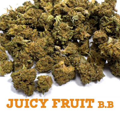 Juicy Fruit BabyBud - Fleurs CBD
