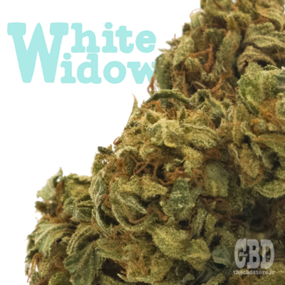 WHITE WIDOW Indoor - Fleurs CBD