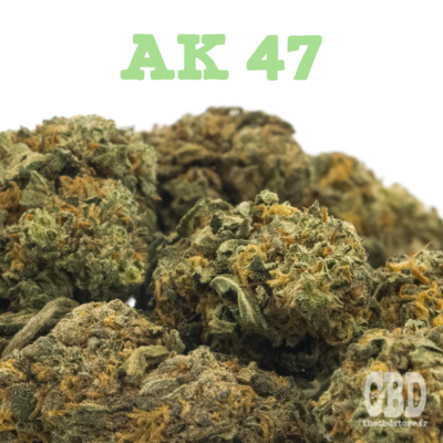 AK 47 Greenhouse - Fleurs CBD