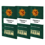 pineapple-chunk_packet_1_seed