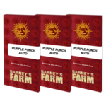 purple-punch-auto_packet_1_seed