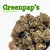 Greenpap's CBD Greenhouse - THECBDSTORE