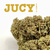 JUICY FRUIT CBD Greenhouse