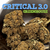 CRITICAL 3.0 CBD - 1