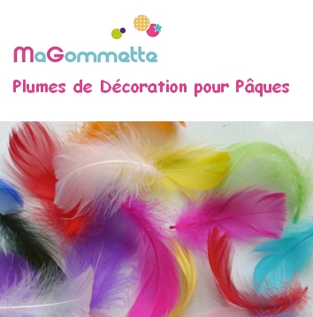 plumes decoration couleur