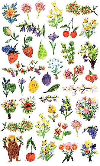 Stickers Fleurs et Fruits