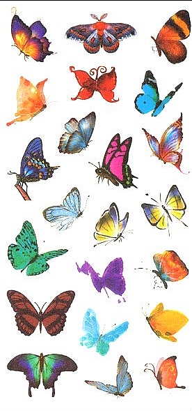 Stickers papillons 1