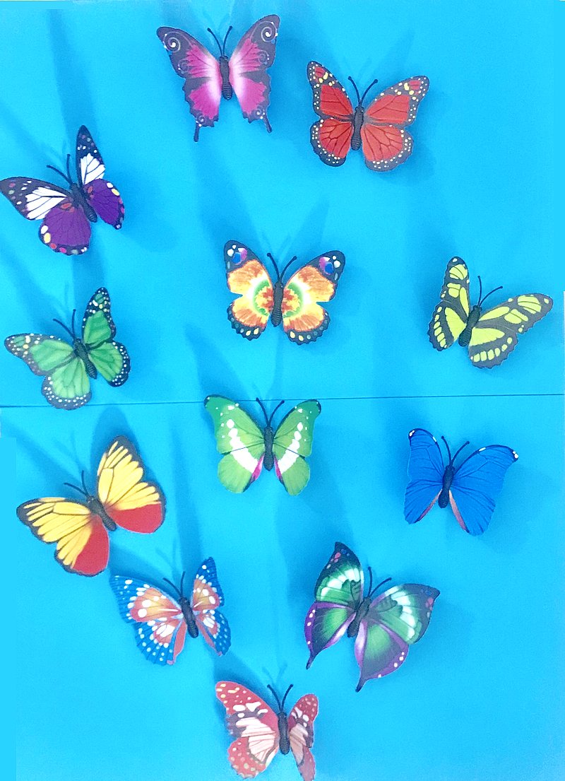 Bricolage Envol 12 papillons fond bleu