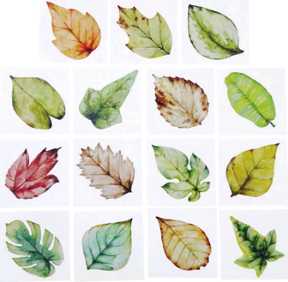 Stickers Feuilles 2