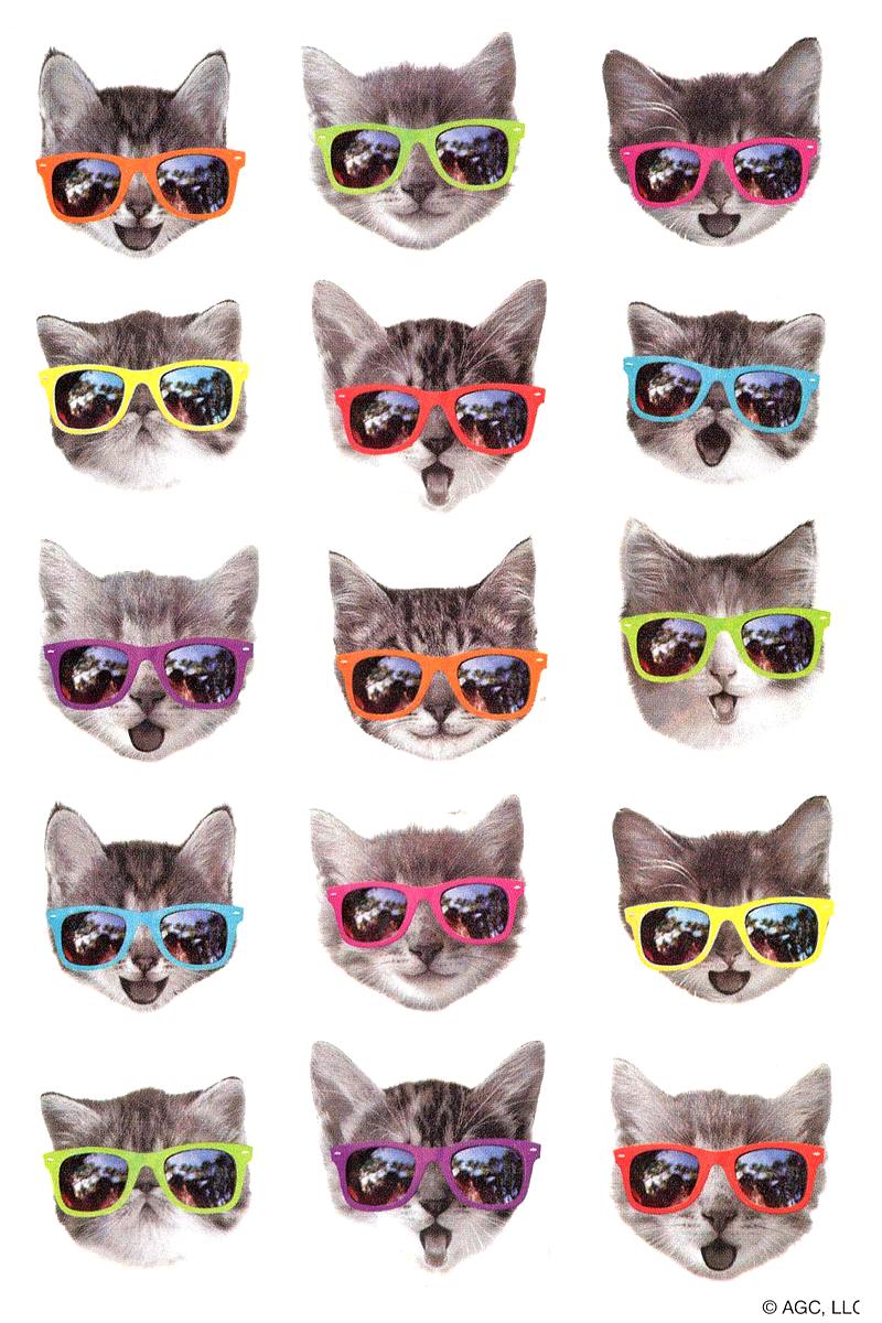 Stickers chats à lunettes de soleil