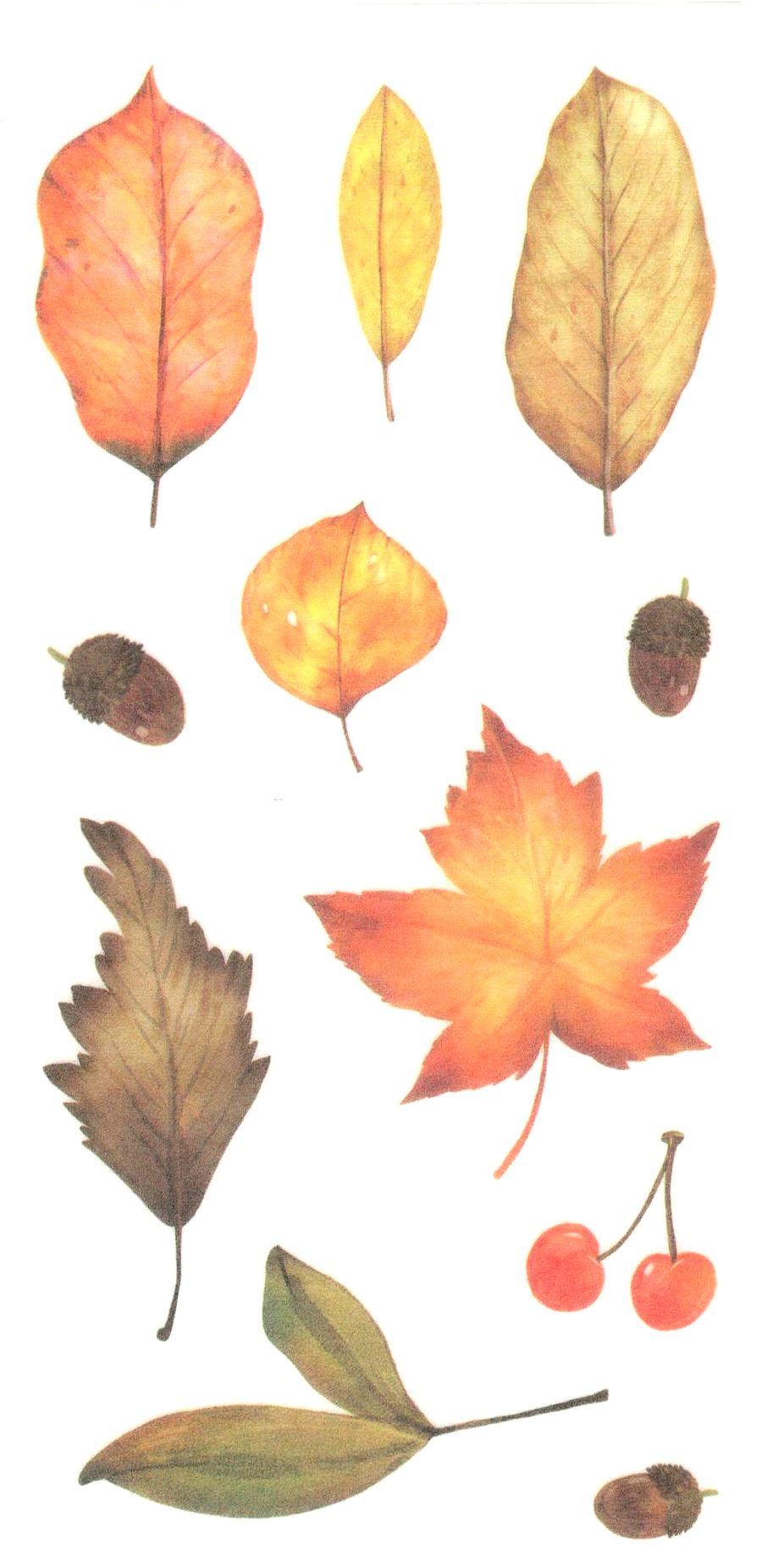 11 Stickers FEUILLES d'Automne - Gommettes Enfants - MaGommette