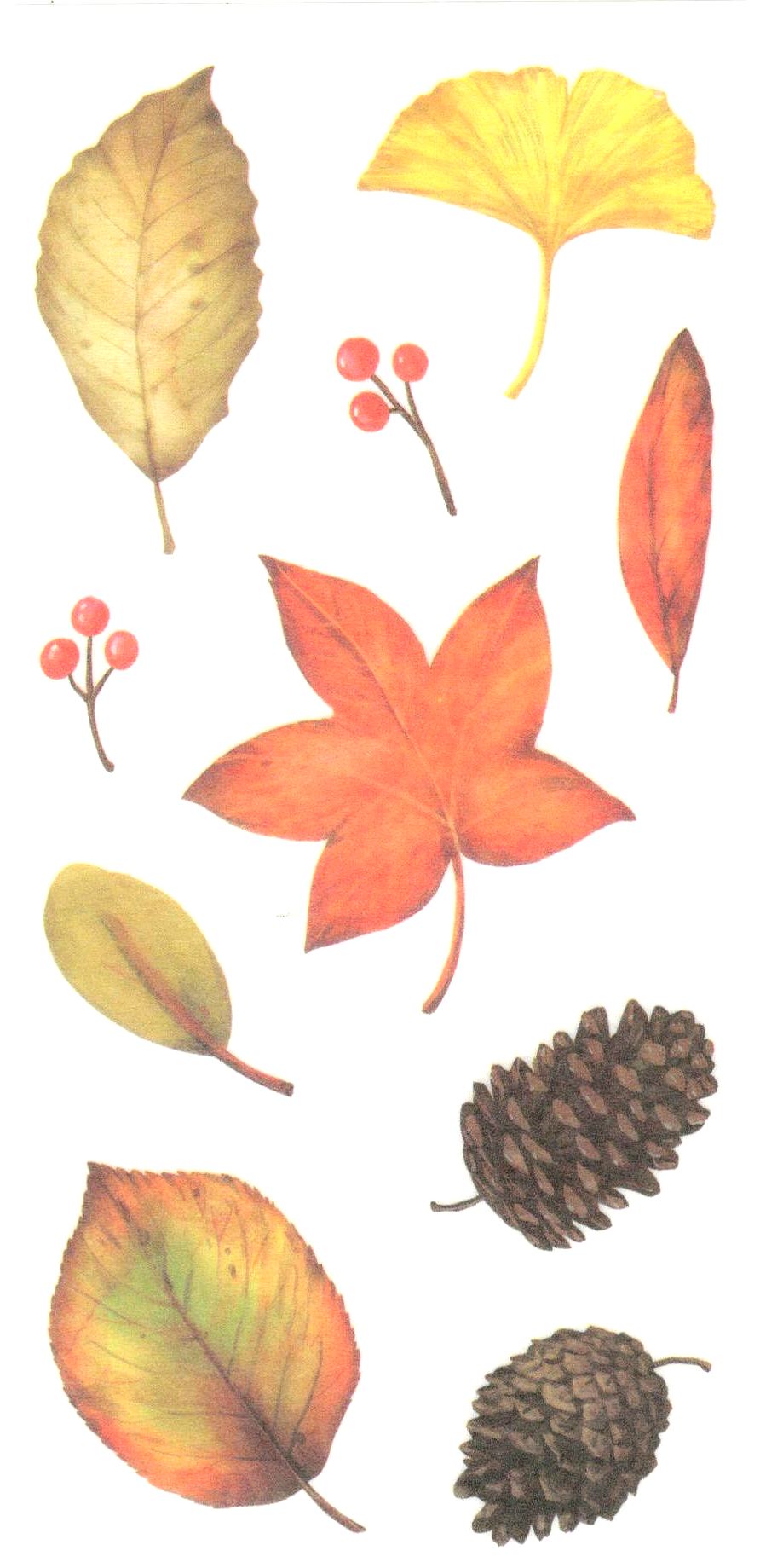 Stickers Puffies - Feuilles d'automne
