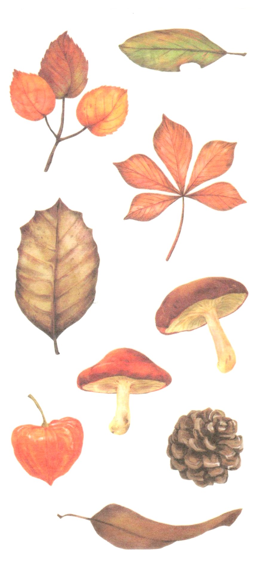 Planches de stickers imprimés feuilles d'automne pour résine - Multicolore  x2 - Perles & Co