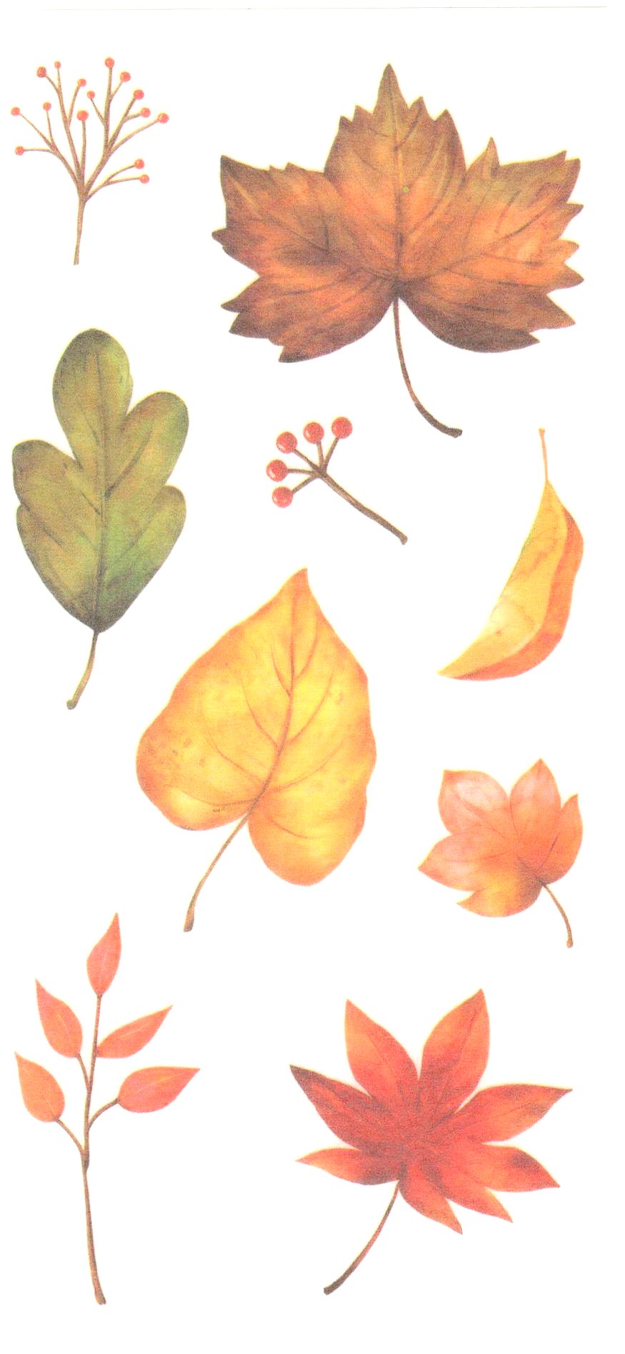 Gommettes feuilles d'arbre - feuillage de printemps- MaGommette