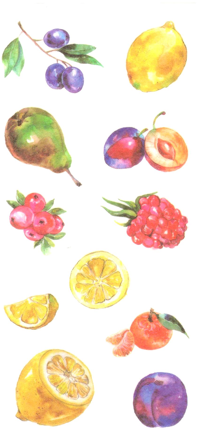 Fins stickers Fruits 2