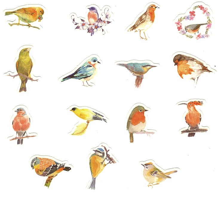 Stickers oiseaux du jardin