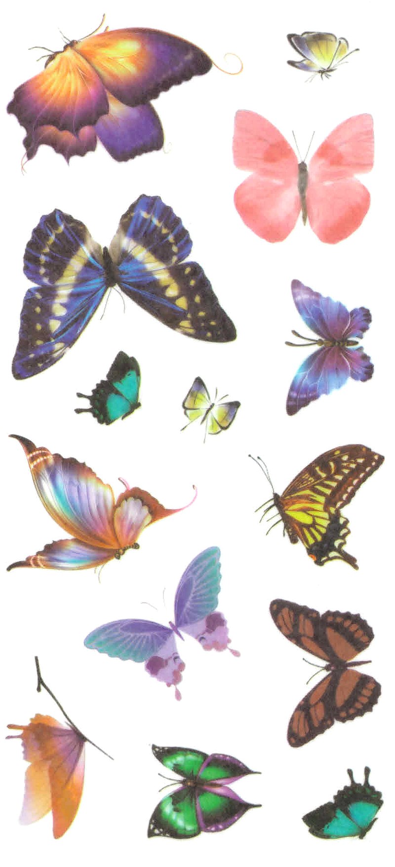 Gommettes papillons 11