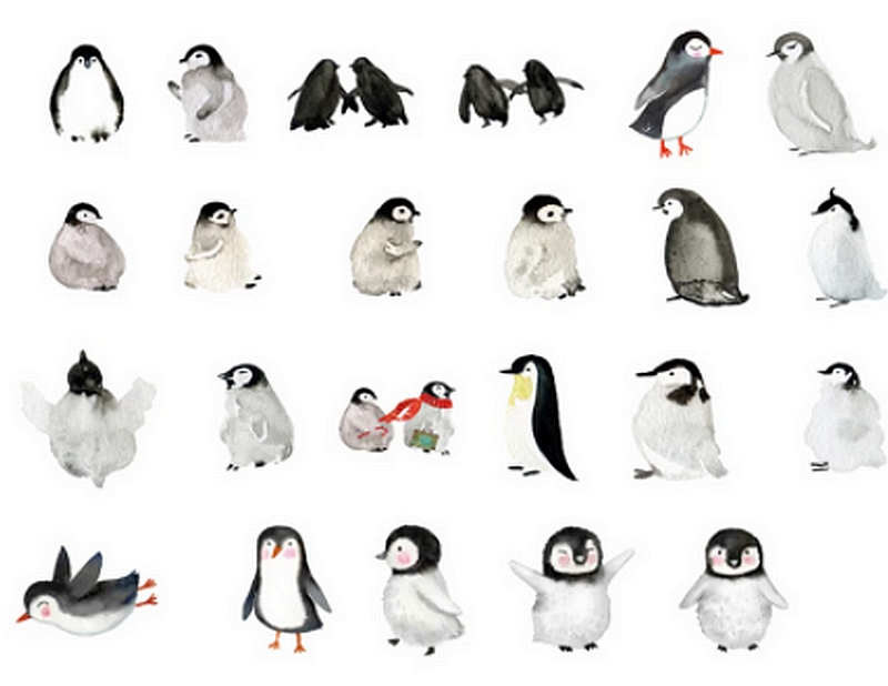 Stickers Pingouins détails