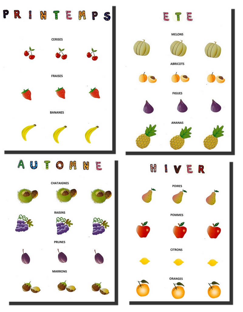 Bricolage Fruits des 4 saisons