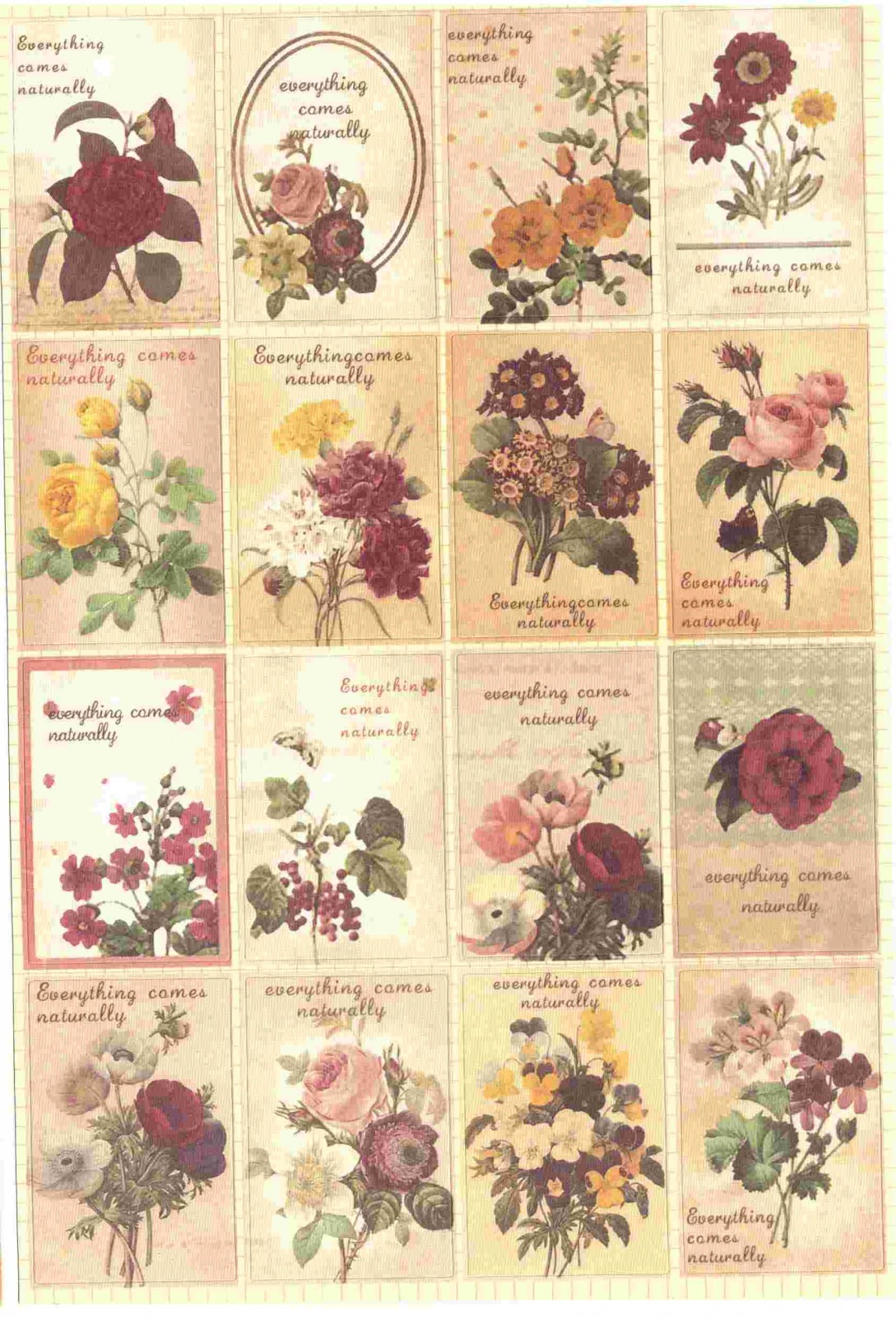 Gommette de scrapbooking Fleurs Vintage. Chargement du zoom