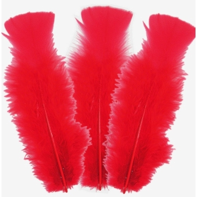 10 plumes d'Oie Rouges 8 cm à 12 cm