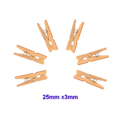 6 mini Pinces à linge 2,5 cm x 3 mm en bois