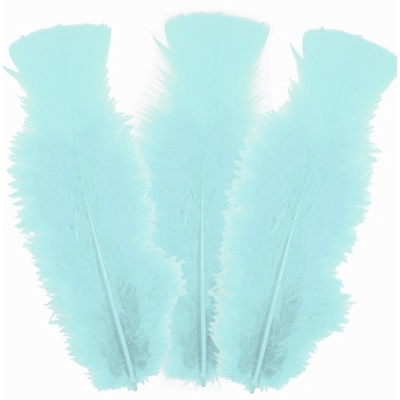 10 plumes d'Oie Bleu Clair 8 cm à 12 cm