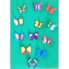 Bricolage Envol 12 papillons fond vert