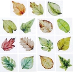 Stickers Feuilles 2