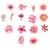 Stickers Fleurs Kawaï