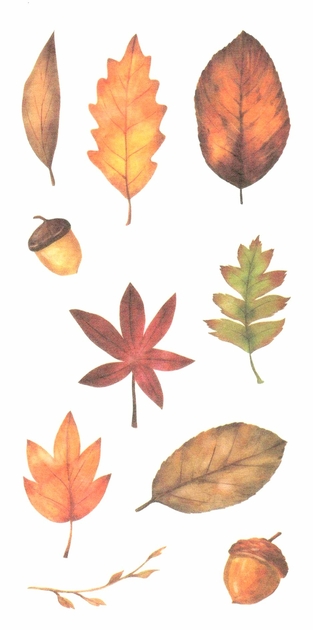 Gommettes feuilles d'arbre - feuillage de printemps- MaGommette