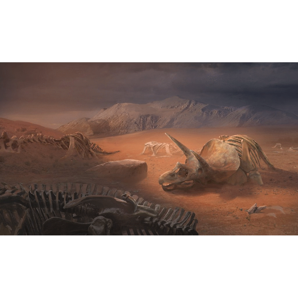 unlock-exotic-adventures (3)