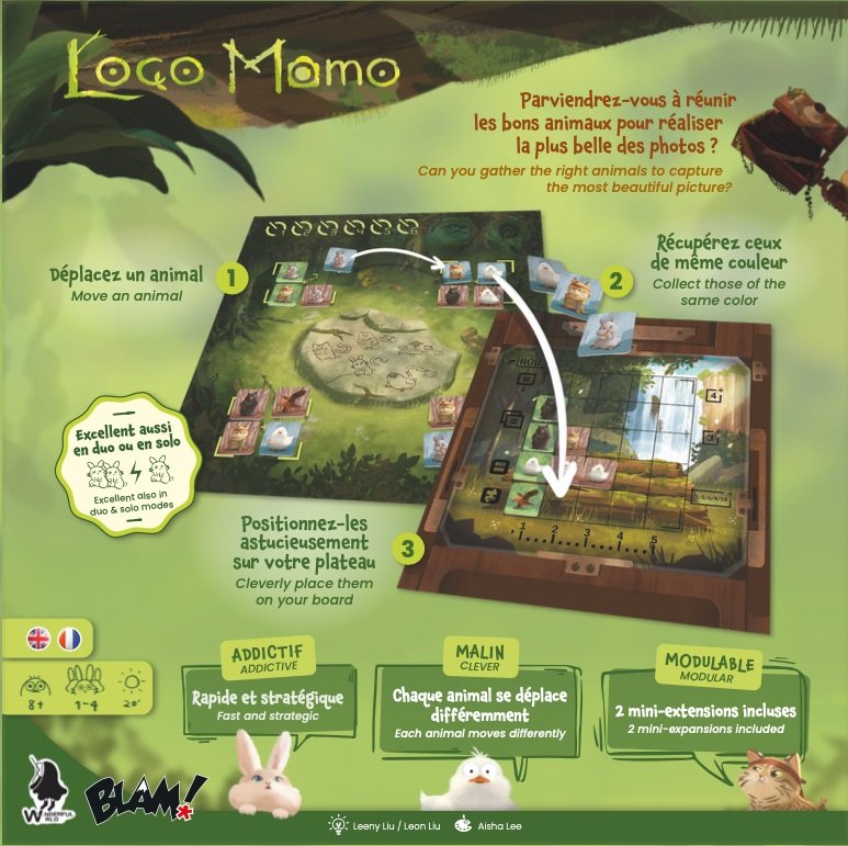loco-momo-dos-boite-de-jeu