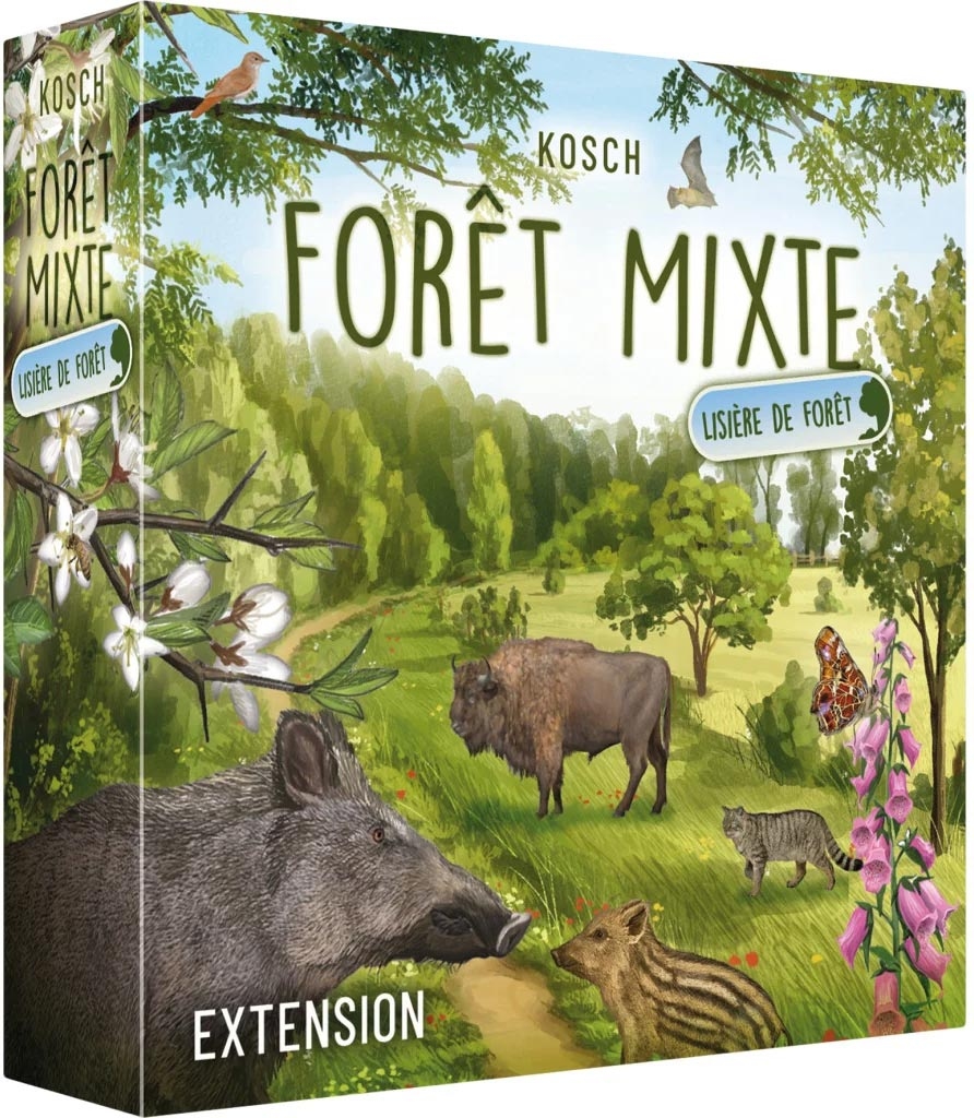Forêt Mixte - Lisière de forêt