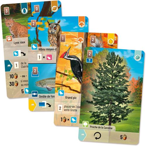 foret-mixte-smoky-mountains-3558387009118 (2)