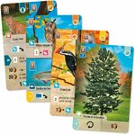 foret-mixte-smoky-mountains-3558387009118 (2)