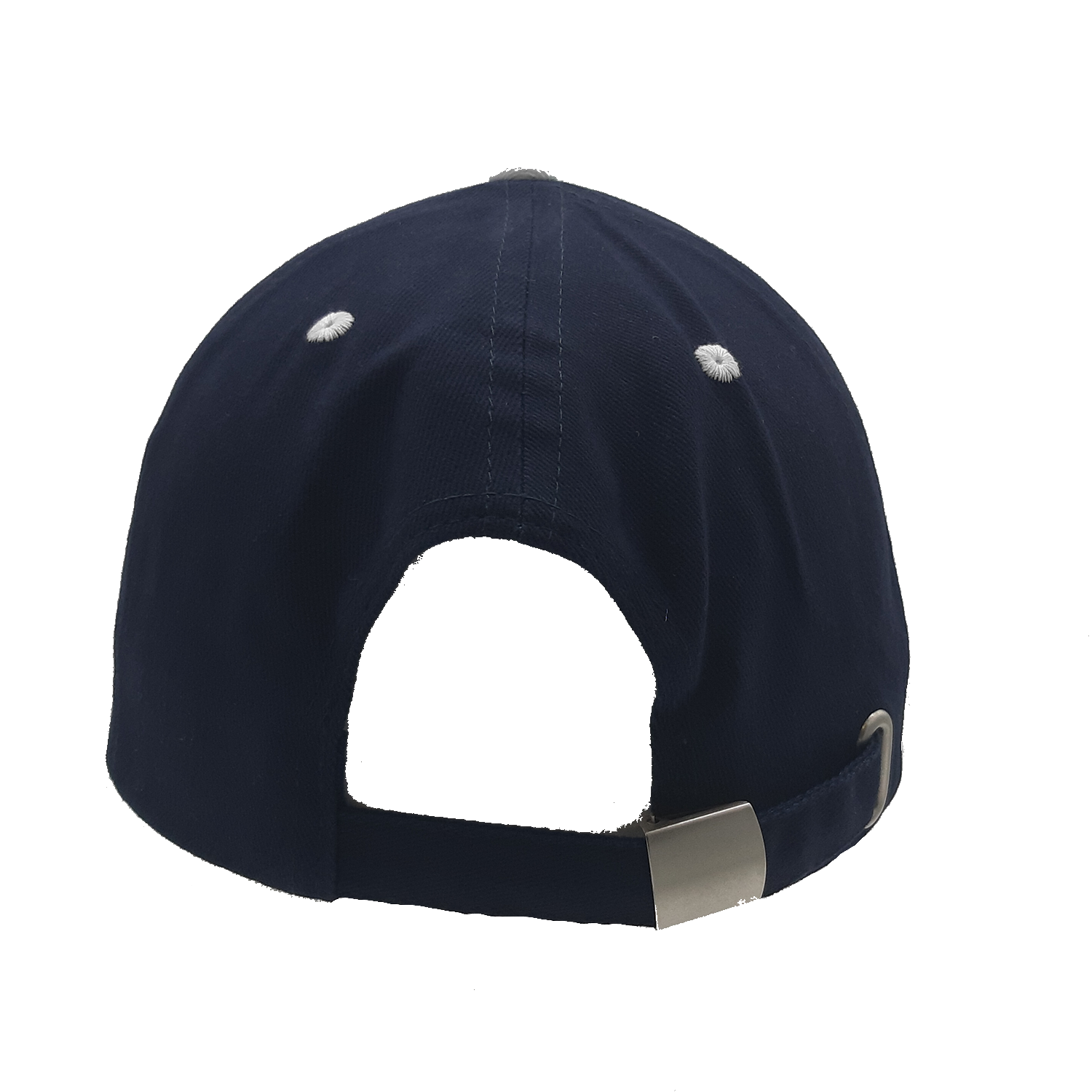 DRS bleue back