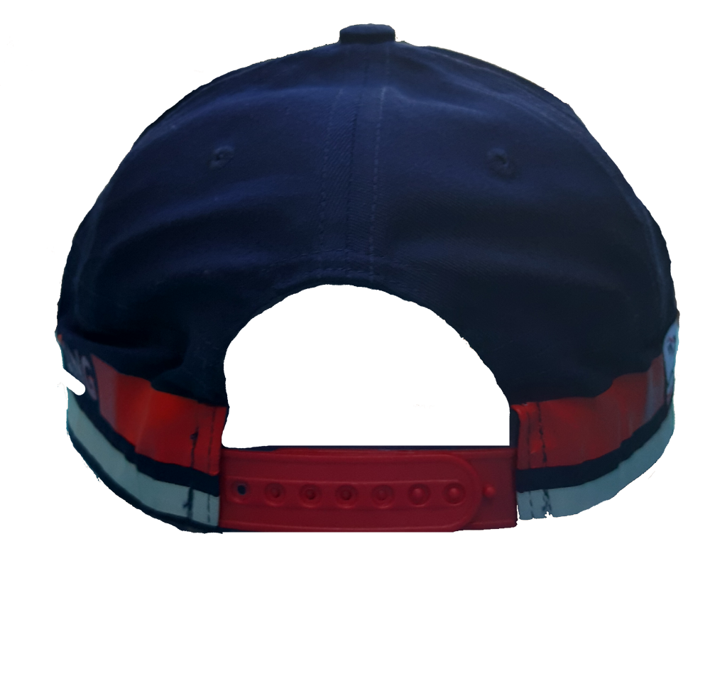 pilotenavyback