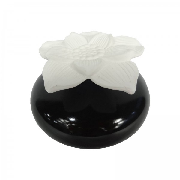 fournisseur-capillarite-fleur-platre