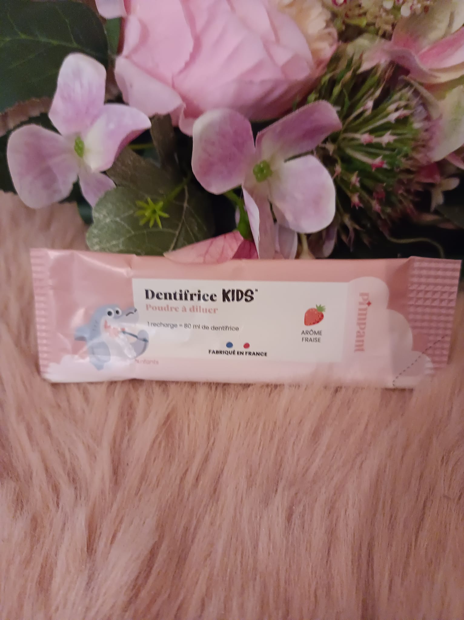 dentifrice poudre pimpant