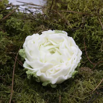 FONDANT PIVOINE 1