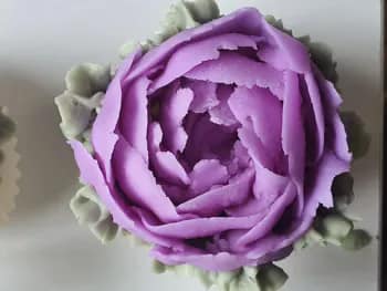 pivoine violet