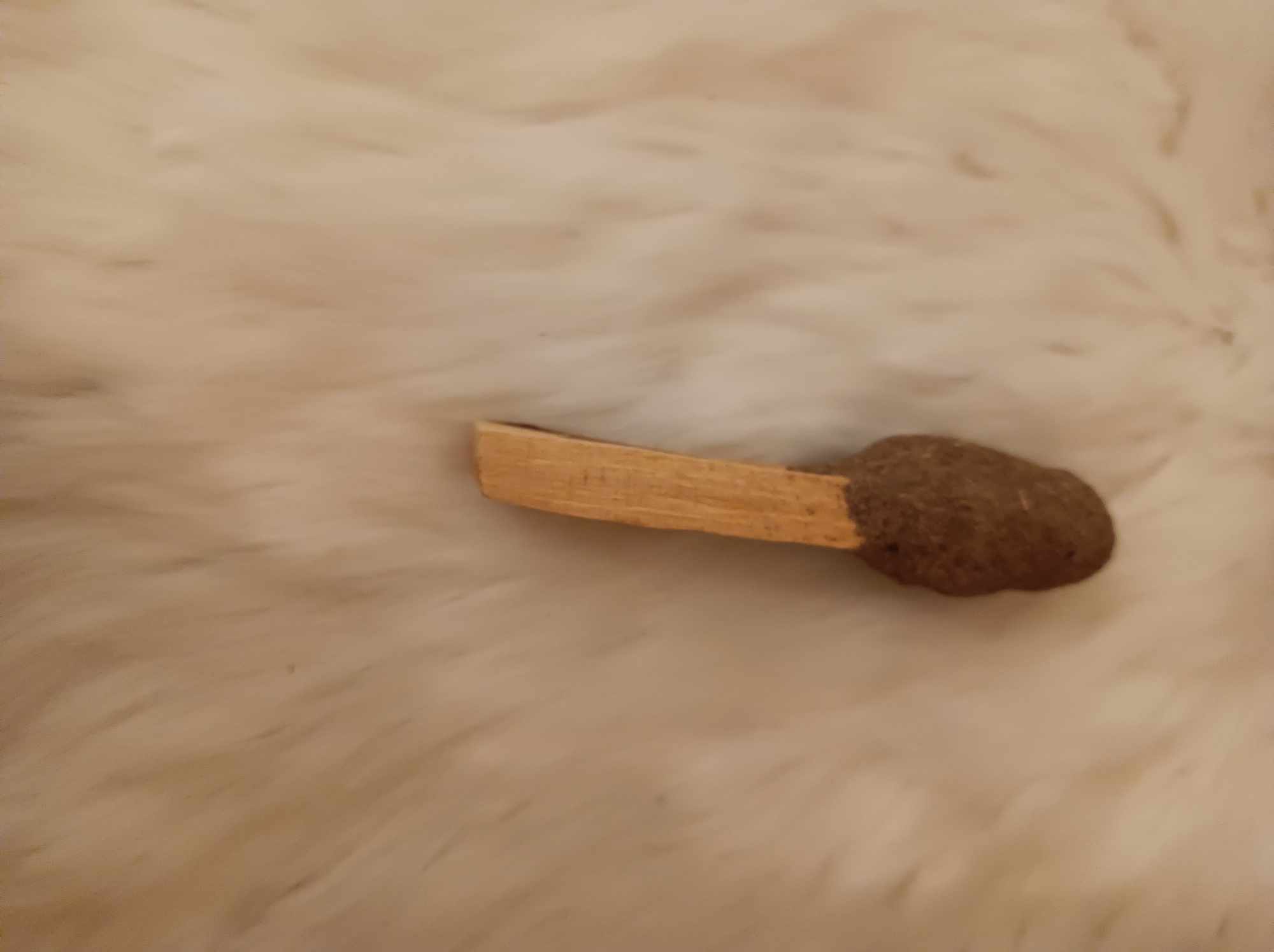 stick palo
