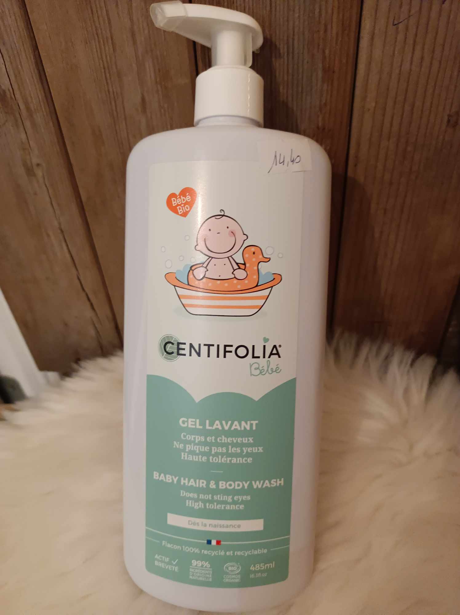 GELCENTIFOLIA