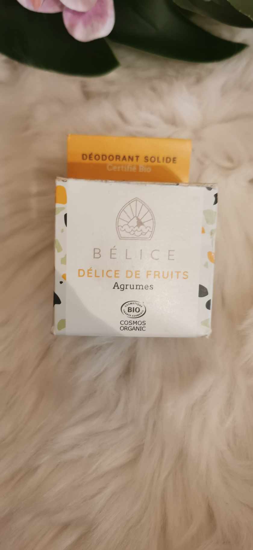 BELICE DEO