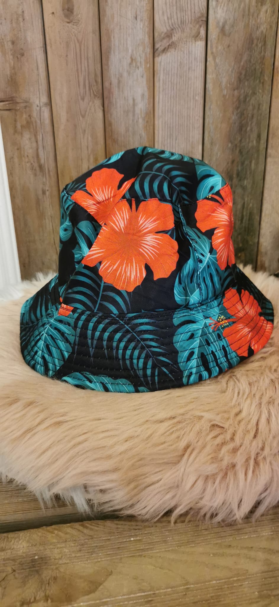 MONSTERA NOIR ROUGE VERT