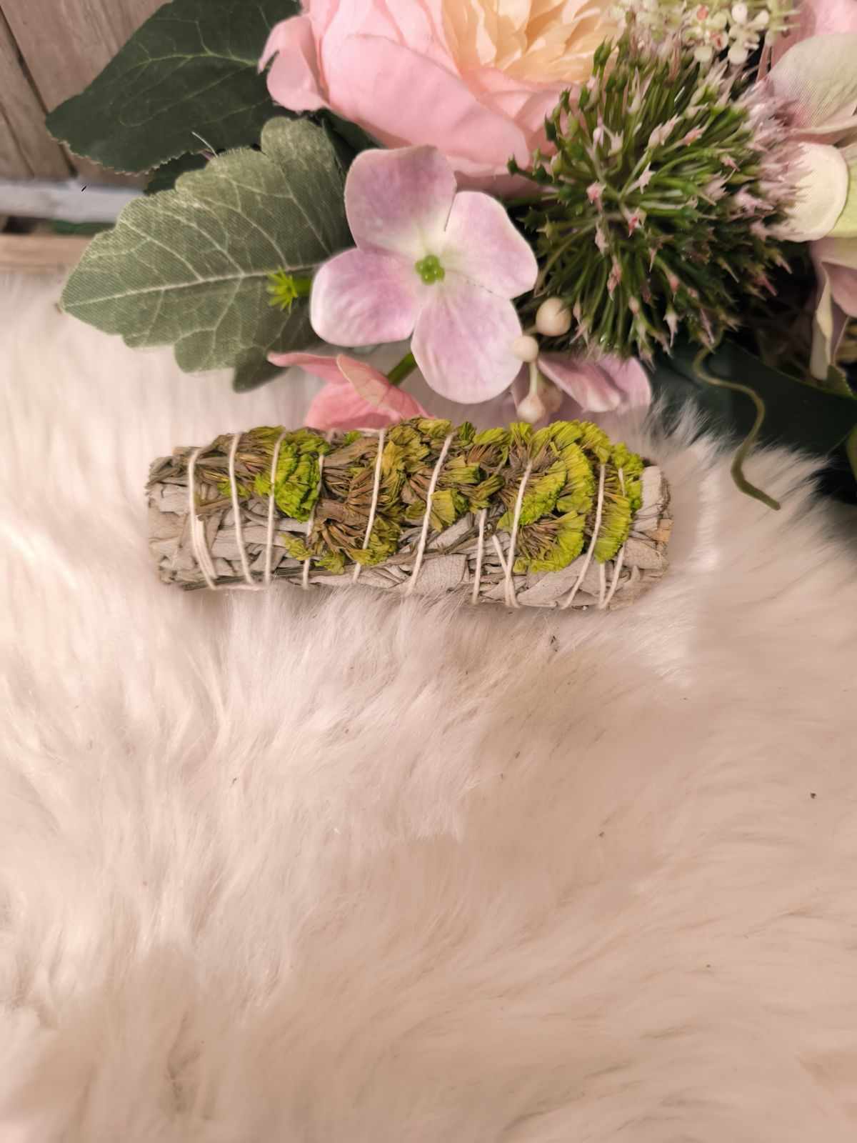 sinuata