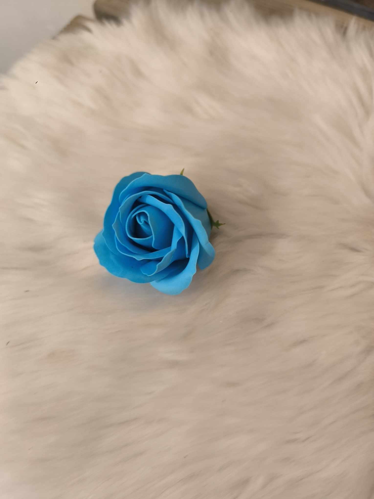 ROSE BLEUE TUR