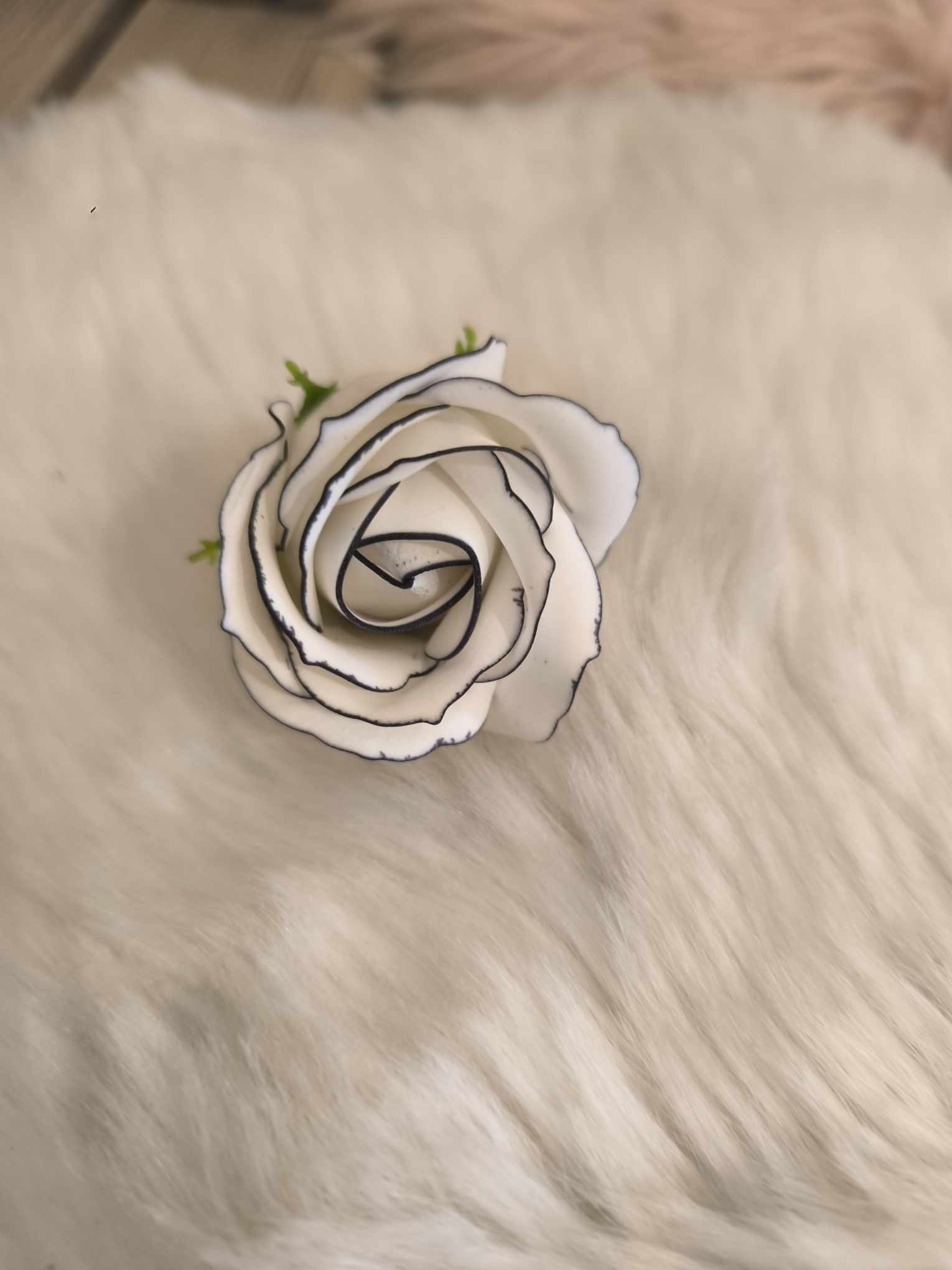 ROSE BLANCHE 1