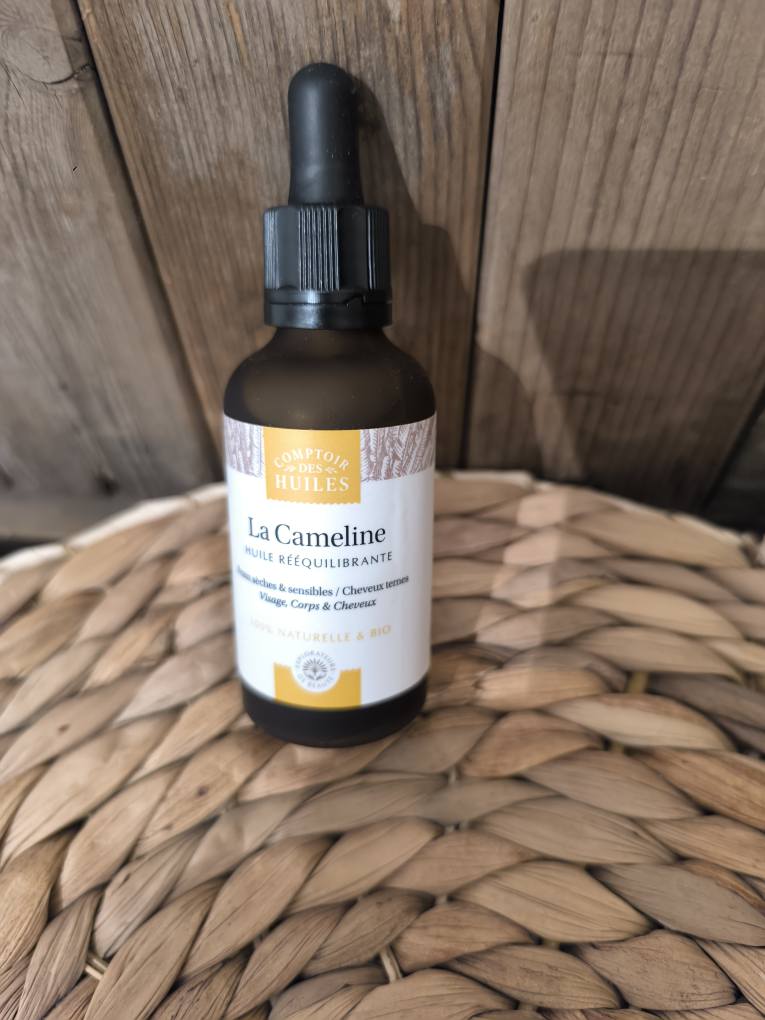 CAMELINE COMPTOIR